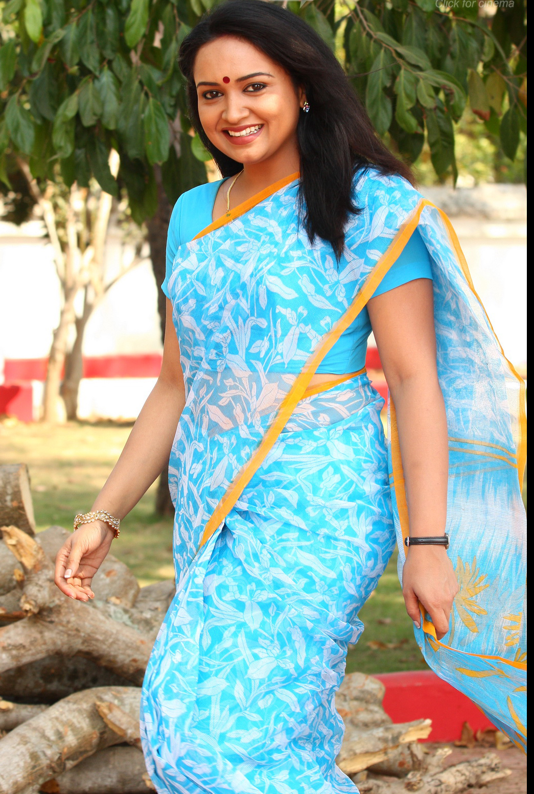 http://tontenk.files.wordpress.com/2011/01/malayalam-actress-lena-hot-2.jpg